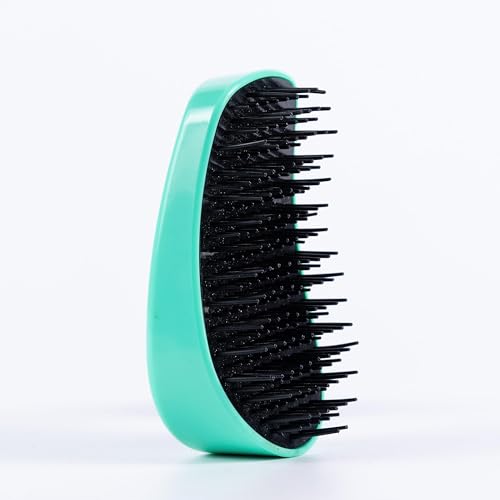 Amazon Basics Detangling Palm Hair Brush For All Hair Types Wet or Dry