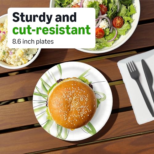 Amazon Basics Everyday Disposable Paper Plates, 8.62 Inch, Microwave-Safe, Cut Resistant, Soak-Proof, 100 Count, Packaging May Vary view 3