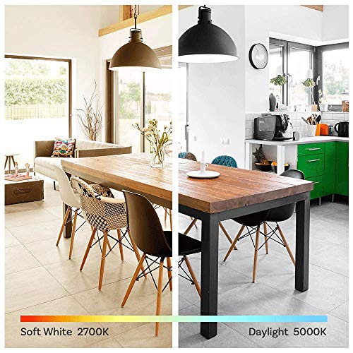 Amazon Basics A19 LED Light Bulbs, 60W Equivalent, Daylight White 5000K, Non-Dimmable, Energy Efficient 9W, E26 Base, 10,000 Hour Lifetime, 24-Pack view 3