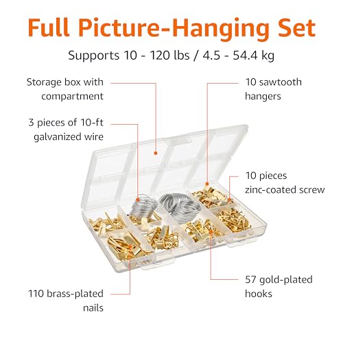 Amazon Basics Picture Hanging Hardware Assortment Kit, 220 Piece Set, Brass