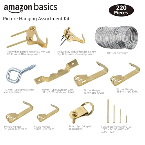 Amazon Basics Picture Hanging Hardware Assortment Kit, 220 Piece Set, Brass
