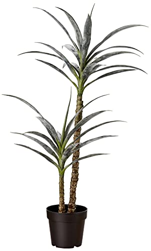 Amazon Basics Artificial Yucca Plant with Plastic Nursery Pot, 40-Inch, Medium