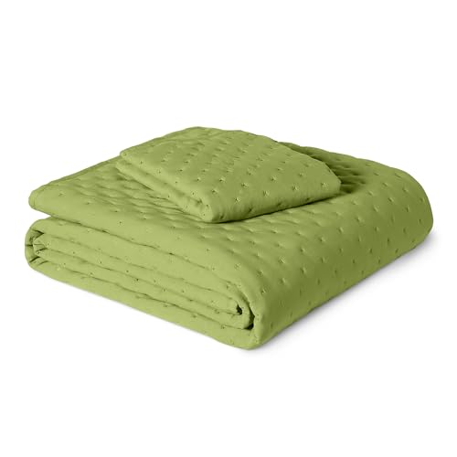 Amazon Basics Brushed Microfiber Quilt Set, Extra Soft with Natural Texture, 2-Piece, Twin/Twin XL, Green