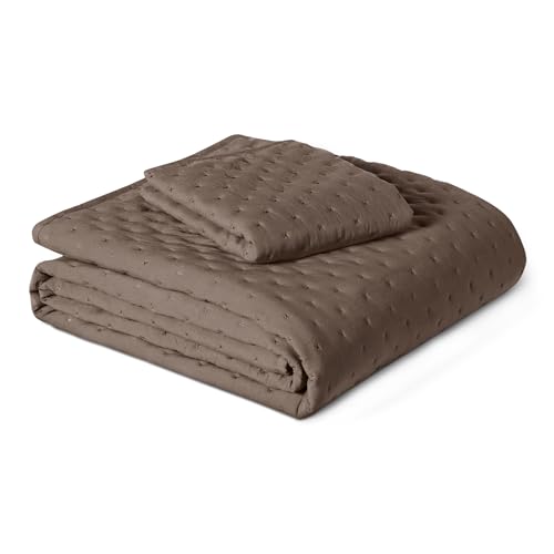 Amazon Basics Brushed Microfiber Quilt Set, Extra Soft with Natural Texture, 2-Piece, Twin/Twin XL, Brown