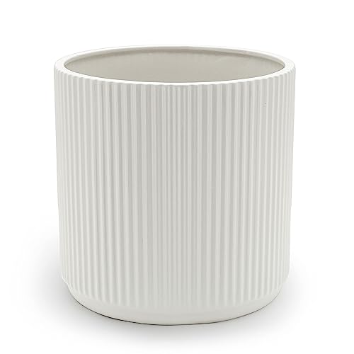 Amazon Basics Fluted Ceramic Round Planter, 10 in, White
