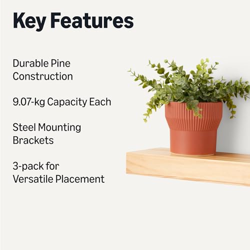 Amazon Basics Wood Floating Wall Shelves, 3-Pack, Pine, 15.8" x 5" x 1.8", Natural Wood Finish view 3