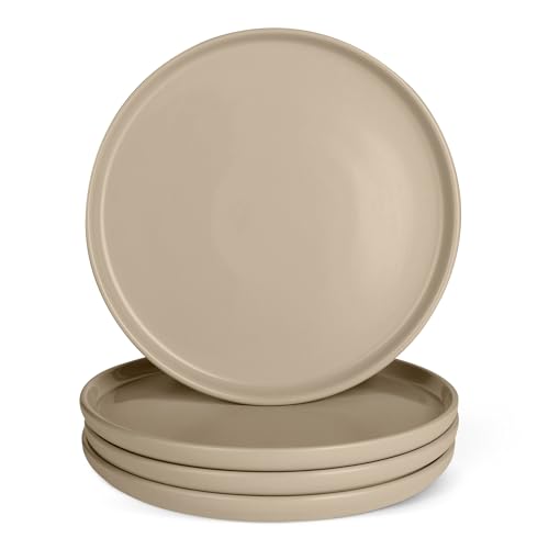 Amazon Basics Glazed Stoneware Dinner Plates, Ceramic 4-Piece Set, Microwave, Dishwasher and Freezer-Safe, Modern Design, 10.5 in., Linen Gray