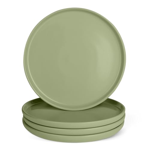 Amazon Basics Glazed Stoneware Dinner Plates, Ceramic 4-Piece Set, Microwave, Dishwasher and Freezer-Safe, 10.5 in., Olive