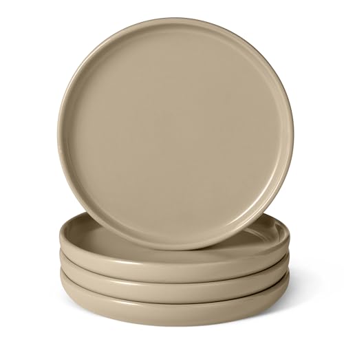Amazon Basics Glazed Stoneware Salad Plates, Ceramic 4-Piece Set, Microwave, Freezer and Dishwasher-Safe, Stain-Resistant, 8.3 in., Linen Gray