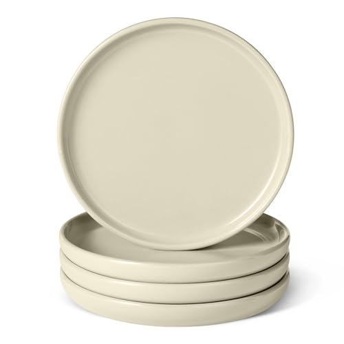 Amazon Basics Glazed Stoneware Salad Plates, Ceramic 4-Piece Set, Microwave, Dishwasher and Freezer-Safe, Stain-Resistant, 8.3 in., Ivory