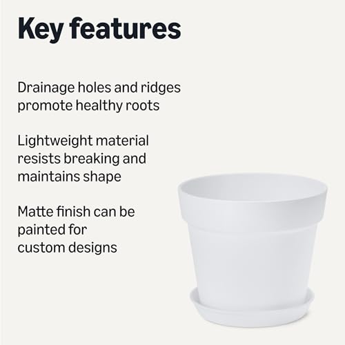 Amazon Basics Plant Pots, 6 inch, White, 1-Pack view 2