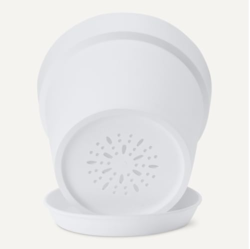 Amazon Basics Plant Pots, 6 inch, White, 1-Pack view 3