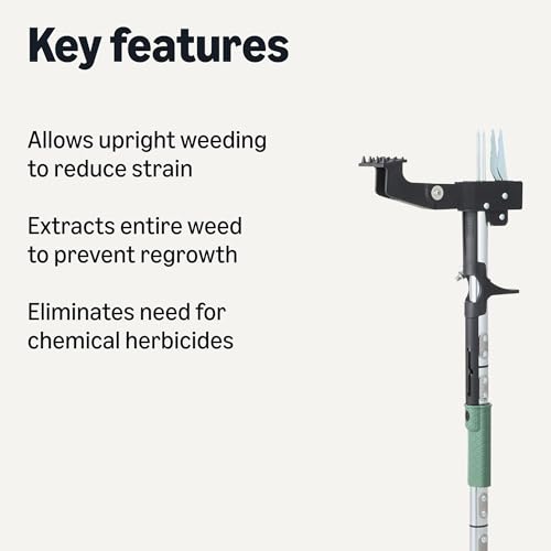 Amazon Basics Stand Up Weed Puller for Garden and Backyard, 4 Claw, 39.61", Black/Olive view 2