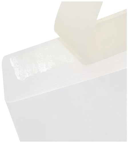 Amazon Basics Catalog Mailing Envelopes, Peel and Seal, 10x13 Inch, White, 100-Pack