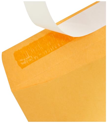 Amazon Basics Catalog Mailing Envelopes, Peel and Seal, 9x12 Inch, Brown Kraft, 100-Pack