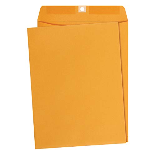 Amazon Basics Clasp Kraft Envelopes, Gummed Mailing Envelope, 9 x 12 inch, 100-Pack