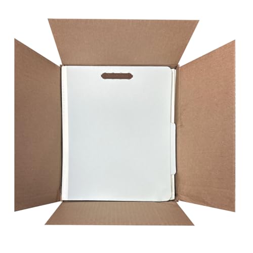 Amazon Basics Sturdy 10-Pack Letter Size Pressboard Classification File Folders with Fasteners, Dividers, 2” Expansion, 11.97 x 10.55 inch, Green