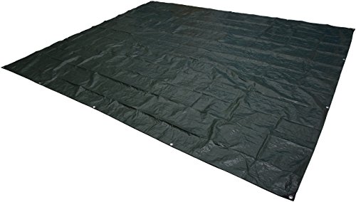 Amazon Basics Waterproof Multipurpose Camping Tarp, Tear Resistant with Reinforced Edges, Protective Cover, 8 Feet x 10 Feet, Dark Green