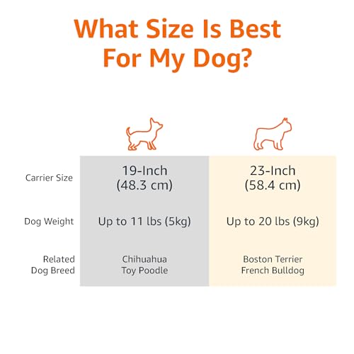 Amazon Basics 2-Door Top-Load Hard-Sided Dogs, Cats Pet Travel Carrier, Gray & Blue, 22.8"L x 15.0"W x 13.0"H