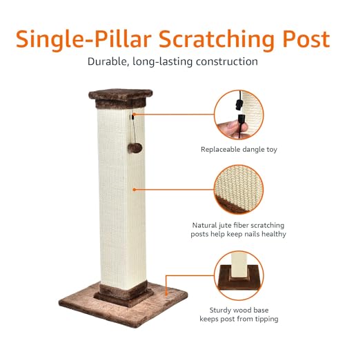 Amazon Basics Cat Scratcher - Indoor Classic Single Cat & Kittens Scratching Post with Sisal Rope, Jute Fiber, Large (35.4"H) - Brown