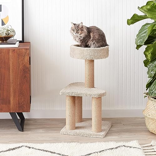 Amazon Basics Cat Tree - Multi-Level Climbing Activity Tower with Jute Rope Scratching Posts for Indoor Cats & Kittens, Medium (31.5"H), Beige view 3