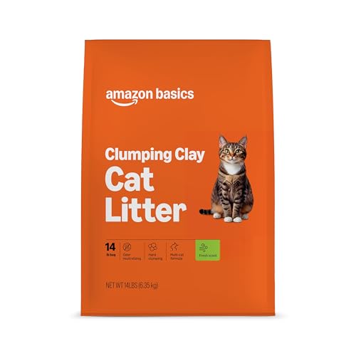Amazon Basics Clumping Cat Litter, Fresh Scent, Hard Clumping Formula - 14 lb Bag