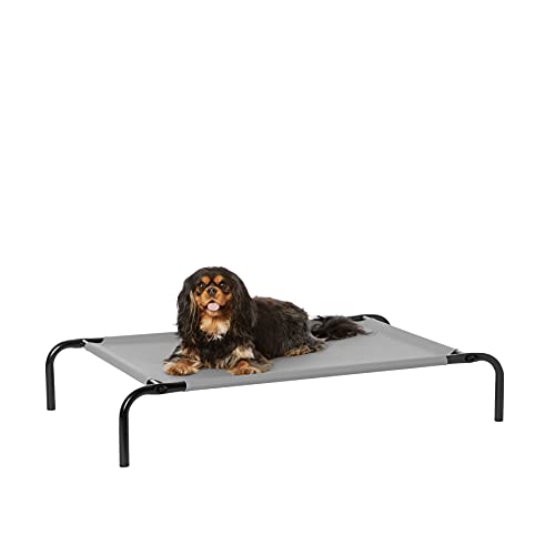 Amazon Basics Cooling Breathable Elevated Dog Bed with Metal Frame for Small Dogs, 36" x 22" x 7.5", Grey