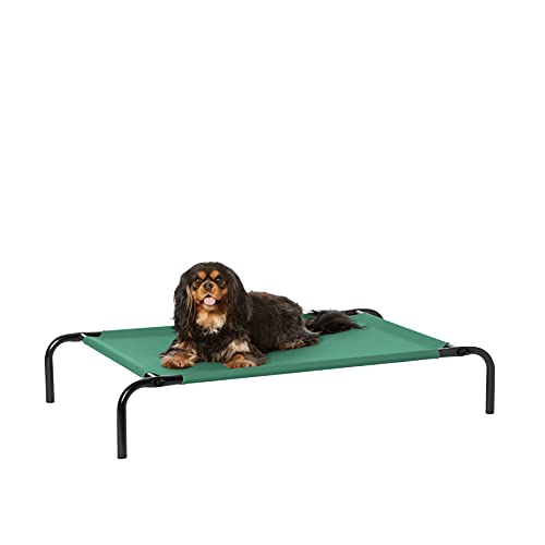 Amazon Basics Cooling Breathable Elevated Dog Bed with Metal Frame for Small Dogs, 36" x 22" x 7.5", Green