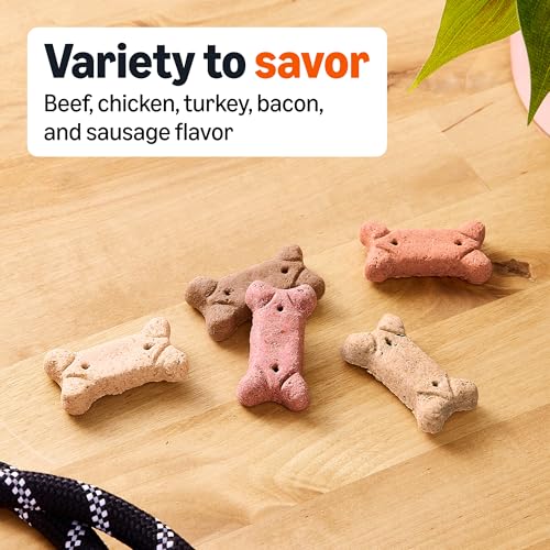Amazon Basics Crunchy Dog Biscuits Multi Flavor Dog Treats 5 lb. Box view 2