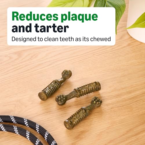 Amazon Basics Dental Dog Treats to Help Clean Teeth & Freshen Breath for Small Dogs, Small, Unflavored, Per Pack: 60 Count, 2.25 pounds (Previously Wag) view 3