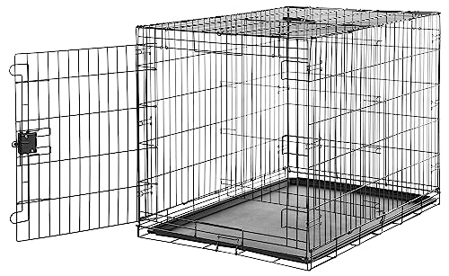 Amazon Basics Durable, Foldable Metal Wire Dog Crate with Tray, Single Door, 42 x 28 x 30 in, Black