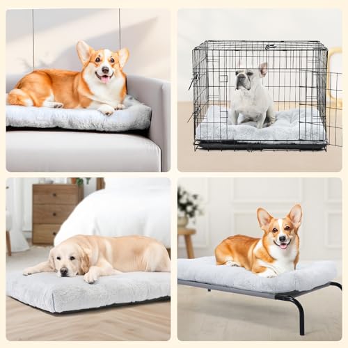 Amazon Basics Medium Dog Bed for Crate, Washable Medium Dog Mat for Pet Kennel, Anti-Slip, Cama para Perros, 36x23x3.5 Inches