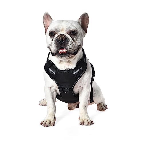 Amazon Basics No Pull Dog Harness, Adjustable Front Clip, Tactical Vest, Small, Black