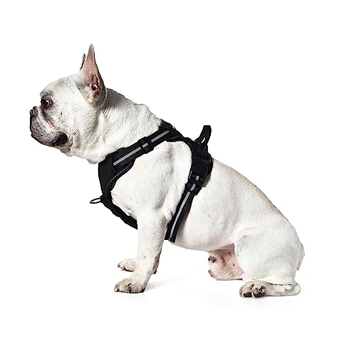 Amazon Basics No-Pull Dog Harness, Soft Padded Adjustable Vest with Reflective Stripes, Sturdy, Small, Black view 2