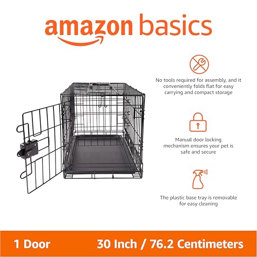Amazon Basics Portable, Foldable Metal Wire Dog Crate with Removable Tray, Single Door, Divider Panel, Quick Setup, 30 x 19 x 21 in, Black view 2