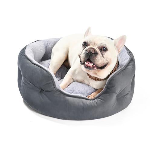 Amazon Basics Round Dog Bed for Medium Dogs, Cat Beds for Indoor Cats, Washable Pet Bed with Soft Plush Cushion, Anti-Slip Bottom, 25x21x8 Inches, Gray