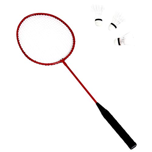 Amazon Basics Portable Outdoor Volleyball and Badminton Combo Set with Sturdy Poles and Storage Bag view 2