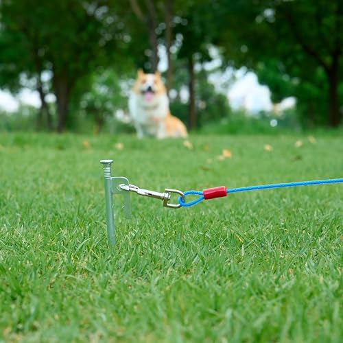 Amazon Basics Tie-Out Cable for Dogs up to 60 lbs, 25 feet, Lightweight, Durable Superior Clips, Blue view 3